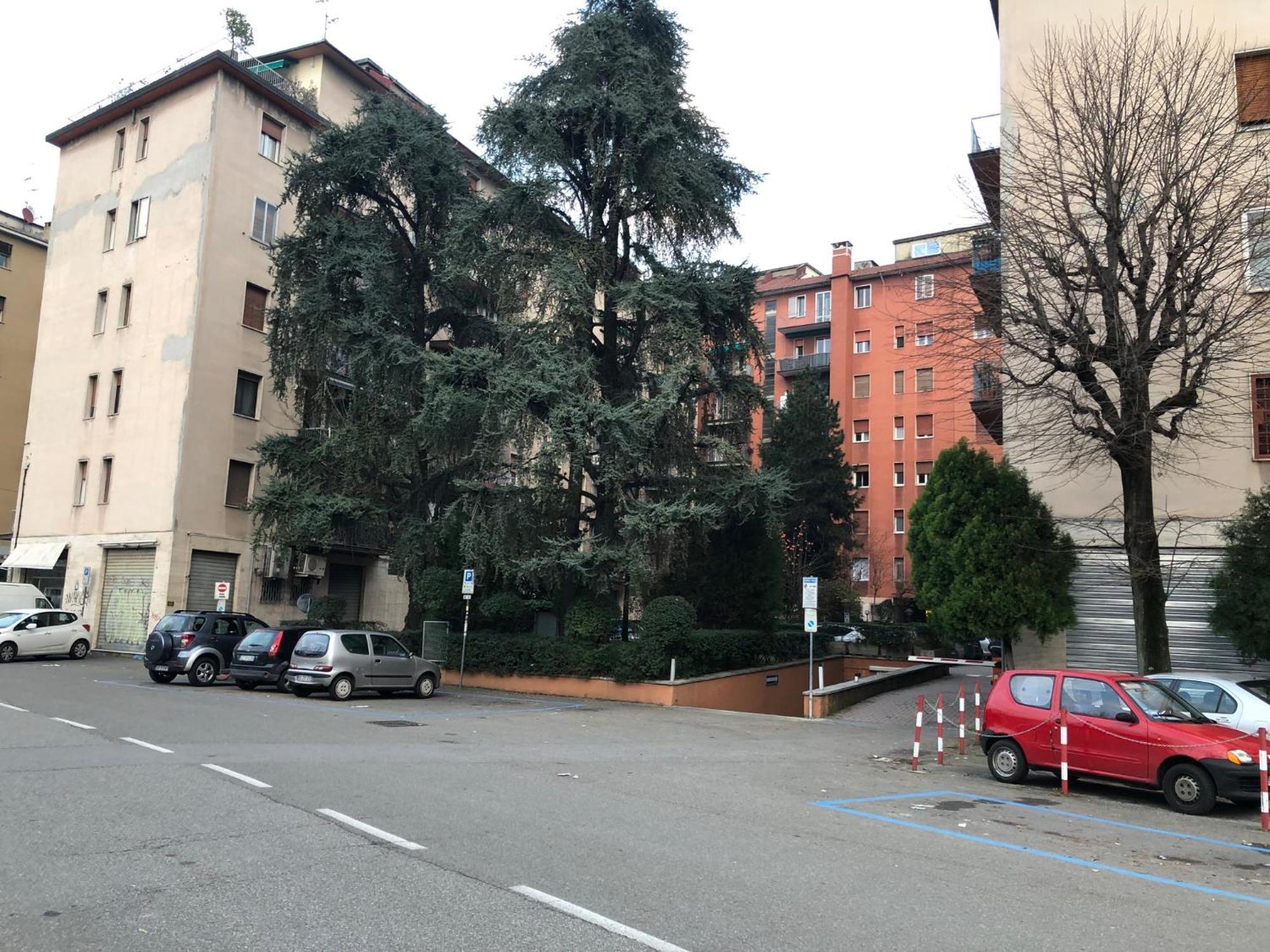 Tra Le Torri B&B - Ampia Stanza Privata In Appartamento Con Bagno Privato Accessibile Da Corridoio Болонья Екстер'єр фото